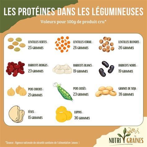 Comparaison visuelle des nutriments dans les légumineuses