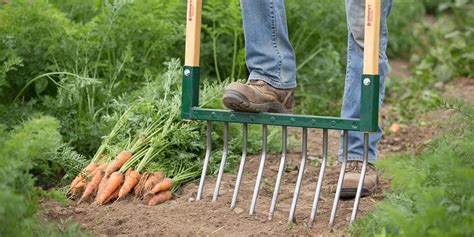 Jardinier utilisant une grelinette dans un potager