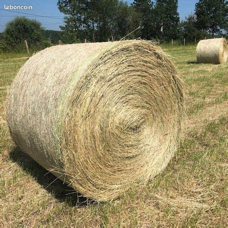 Bottes de foin et outils agricoles