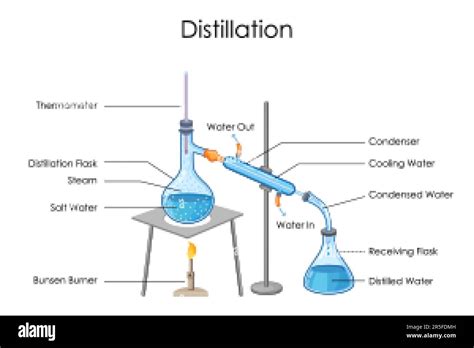 Processus de distillation de l'absinthe