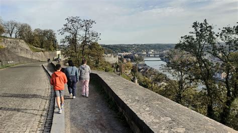 Plan de l'Allée des Rhododendrons à Namur