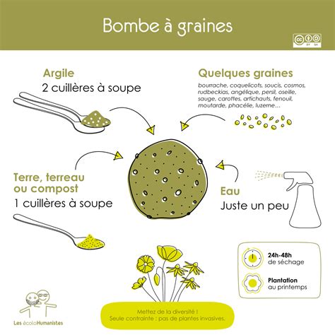 Illustration de diverses bombes à graines colorées