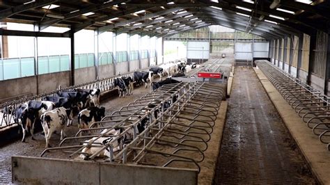 Logettes d'alimentation