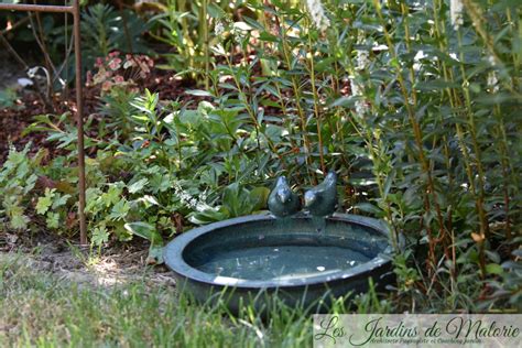 Canari se baignant dans une petite coupelle d'eau