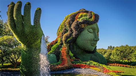 Photographie montrant les massifs en mosaïculture et le bassin central du jardin.