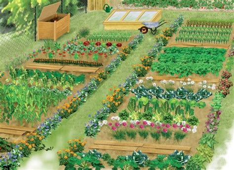 illustration d'un jardin potager bien ordonné
