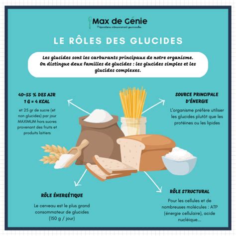 Schéma illustrant le rôle des glucides dans la rhizosphère et la stimulation des micro-organismes bénéfiques