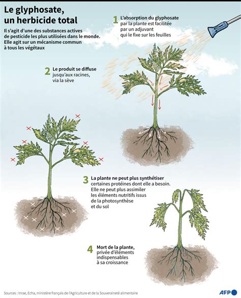 Infographie sur l'évolution de l'utilisation du glyphosate