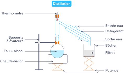 Schéma du processus de distillation à la vapeur d'eau pour l'extraction d'huiles essentielles