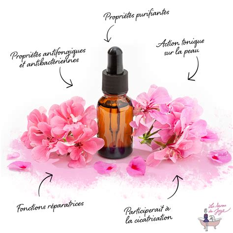 Infographie résumant les propriétés de l'huile essentielle de géranium