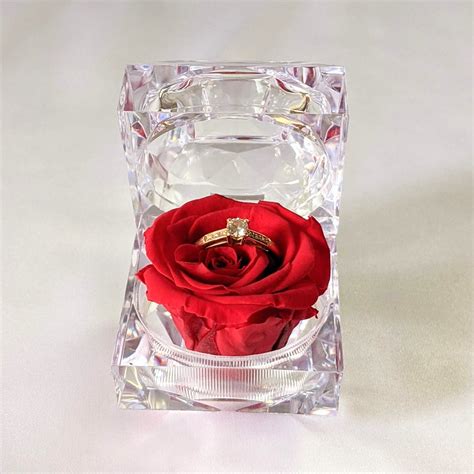 Rose éternelle dans un écrin