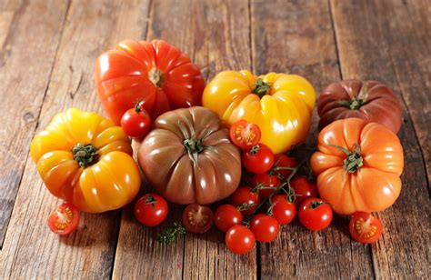 Diversité des couleurs de tomates (rouge, jaune, vert, noir)