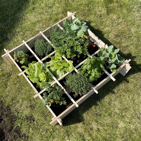 potager escalier truffaut ambiance