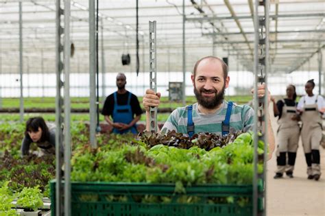 Maraîcher récoltant des légumes biologiques