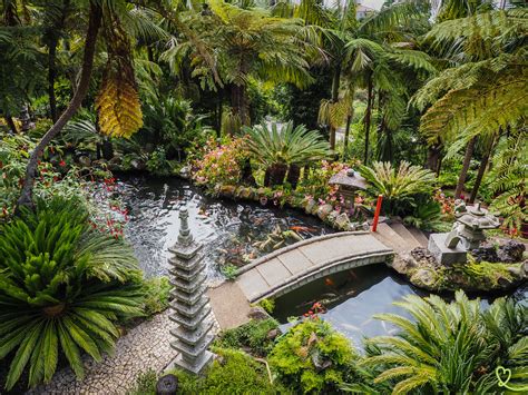 Vue panoramique du Monte Palace Tropical Garden avec Funchal et l'océan en arrière-plan