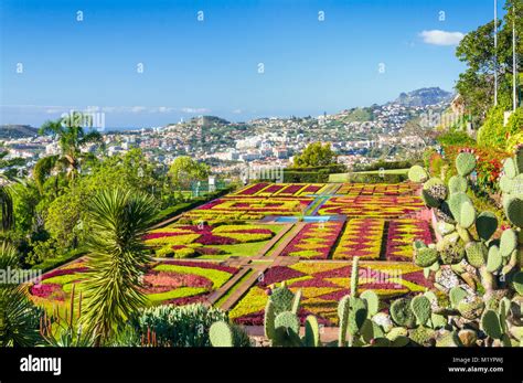 Mosaïculture florale du Jardin Botanique de Funchal