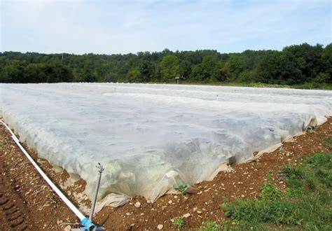 Voiles de protection agricole sur des champs