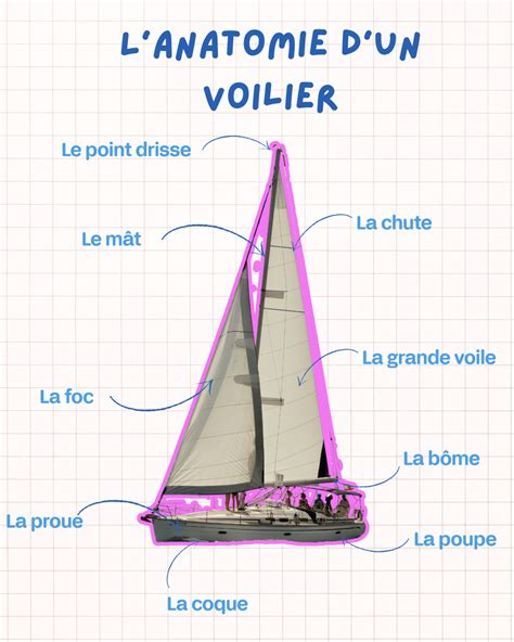 Schéma de l'aérodynamisme d'une voile de voilier