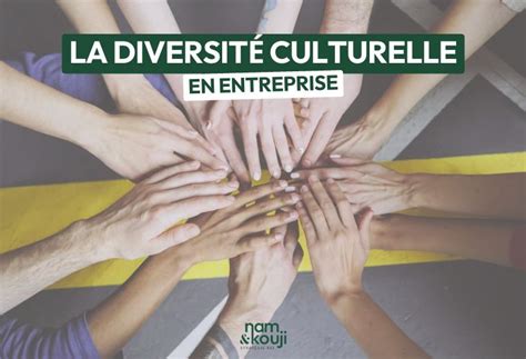 représentation visuelle de la diversité culturelle en médiathèque