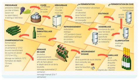 Schéma des étapes de vinification du Champagne