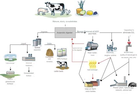 Schéma illustrant le processus de transformation du fumier en humus