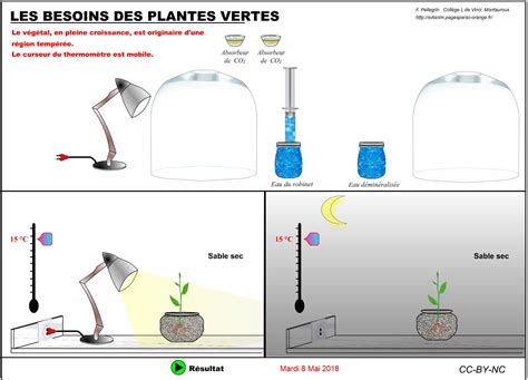 Infographie montrant les besoins en lumière et en eau de différentes familles de plantes