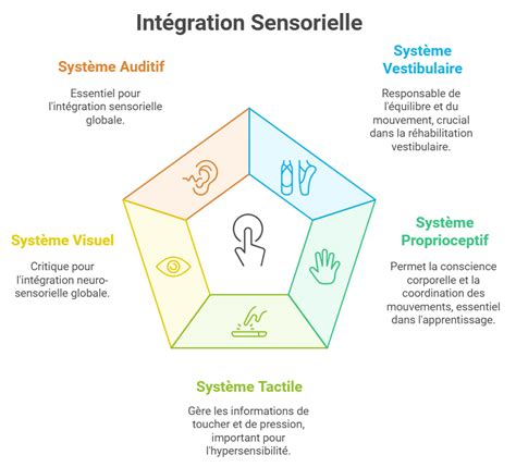 Diagramme illustrant l'amélioration de l'intégration sensorielle après stimulation auditive