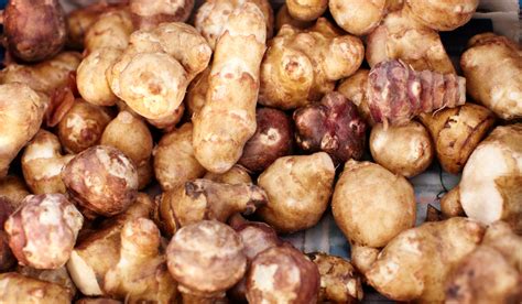 Tubercules de topinambour fraîchement récoltés et nettoyés