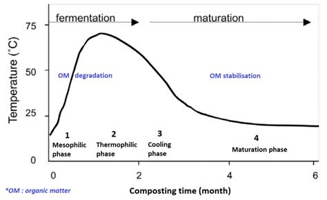 Graphique des phases de température lors du compostage