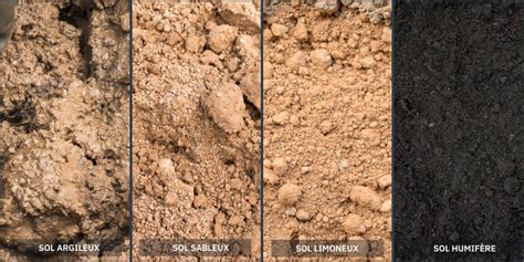 Types de sols et leur impact sur l'usure des dents de herse rotative