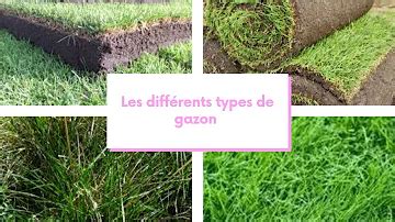 Schéma des différents types de gazon pour diverses conditions