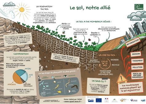 Infographie sur la vie du sol et le rôle des amendements