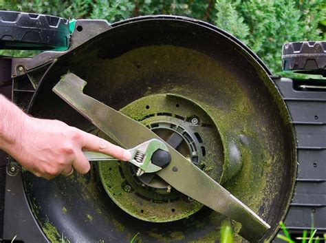 Outils nécessaires pour changer une lame de tondeuse