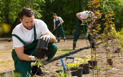 Photo d'une équipe de jardiniers travaillant dans un jardin aménagé