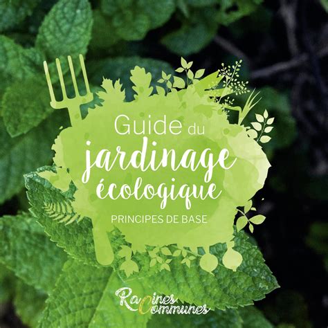 Infographie présentant les principes du jardinage écologique et les avantages environnementaux