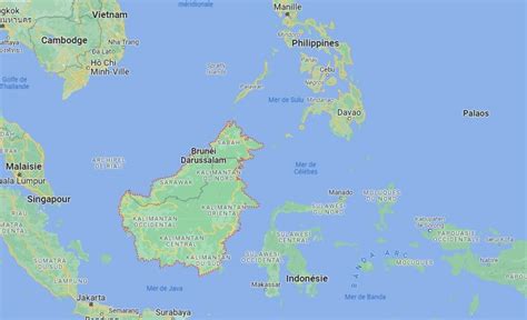 Carte de Bornéo mettant en évidence les zones de plantations de palmiers à huile