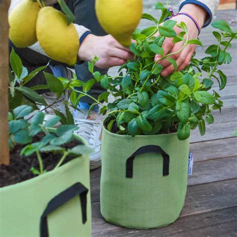 Sac de plantation Lidl en cours d'utilisation dans un jardin