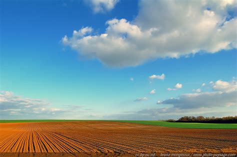Paysage de Habsheim avec des champs
