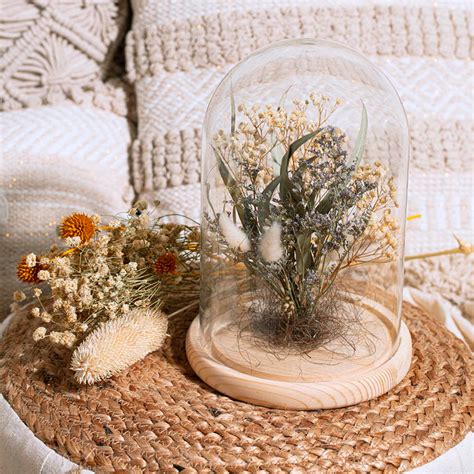 une composition élégante de succulentes sous une cloche en verre avec un éclairage LED subtil