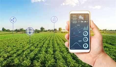 Capture d'écran de l'interface d'une plateforme agricole numérique montrant des données de capteurs