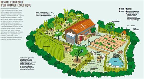 Schéma explicatif d'un jardin-forêt en permaculture