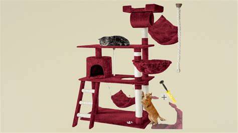 Chat se sentant en sécurité en hauteur