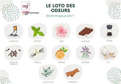 infographie sur les différentes odeurs de champignons