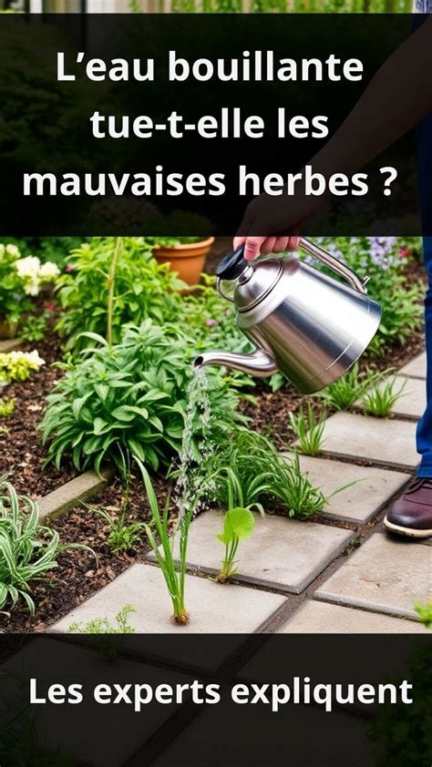 personne versant de l'eau bouillante sur des mauvaises herbes