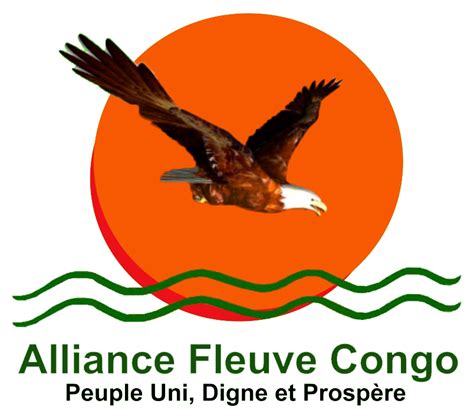 Logo de l'Alliance Power For All