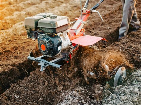 Motoculteur en action dans un potager