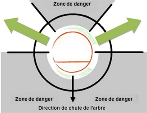 Schéma illustrant la zone de sécurité autour d'un arbre fruitier où il ne faut pas placer de motif pour éviter la perte d'objets.