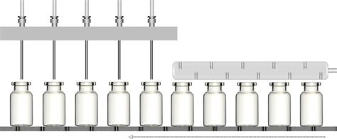 Organisation esthétique de semences dans des flacons en verre alignés