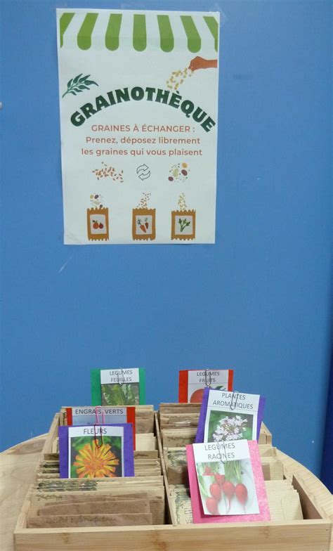 Vue d'ensemble d'une grainothèque bien organisée avec étiquettes lisibles