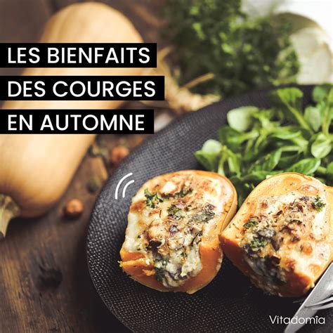 Schéma nutritionnel illustrant les bienfaits des courges : bêta-carotène, vitamines et fibres